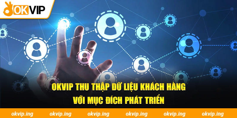 OKVIP thu thập dữ liệu khách hàng với mục đích phát triển