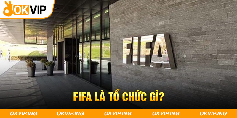 FIFA là tổ chức gì